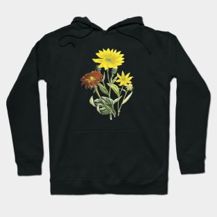 Summer Flowers Hoodie